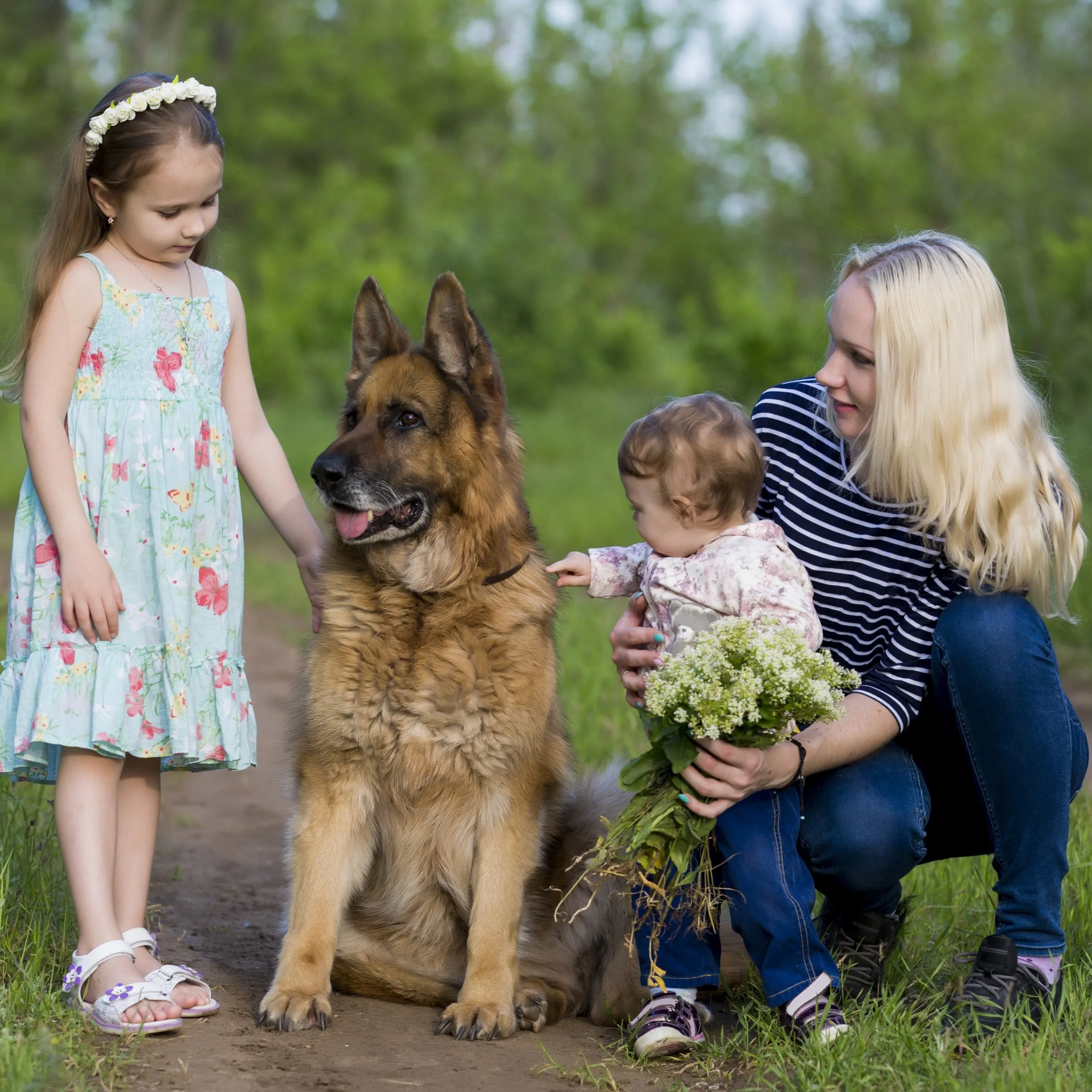 Family to show Personal Protection Dog