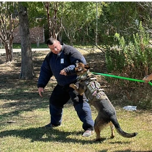 Gunner the Personal Protection Dog